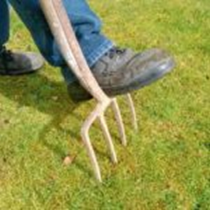 Bonnet Olivier - Paysagiste en Seine et Marne